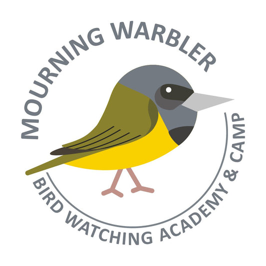 Mourning Warbler