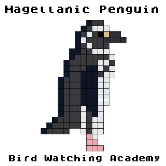 10 Amazing Facts about Magellanic Penguins