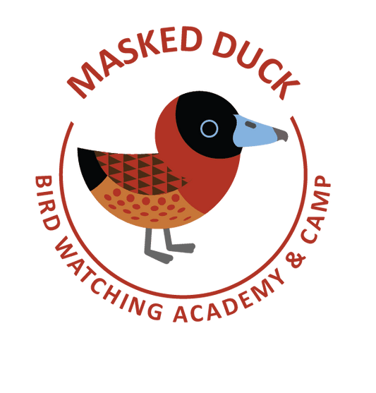 Masked Duck