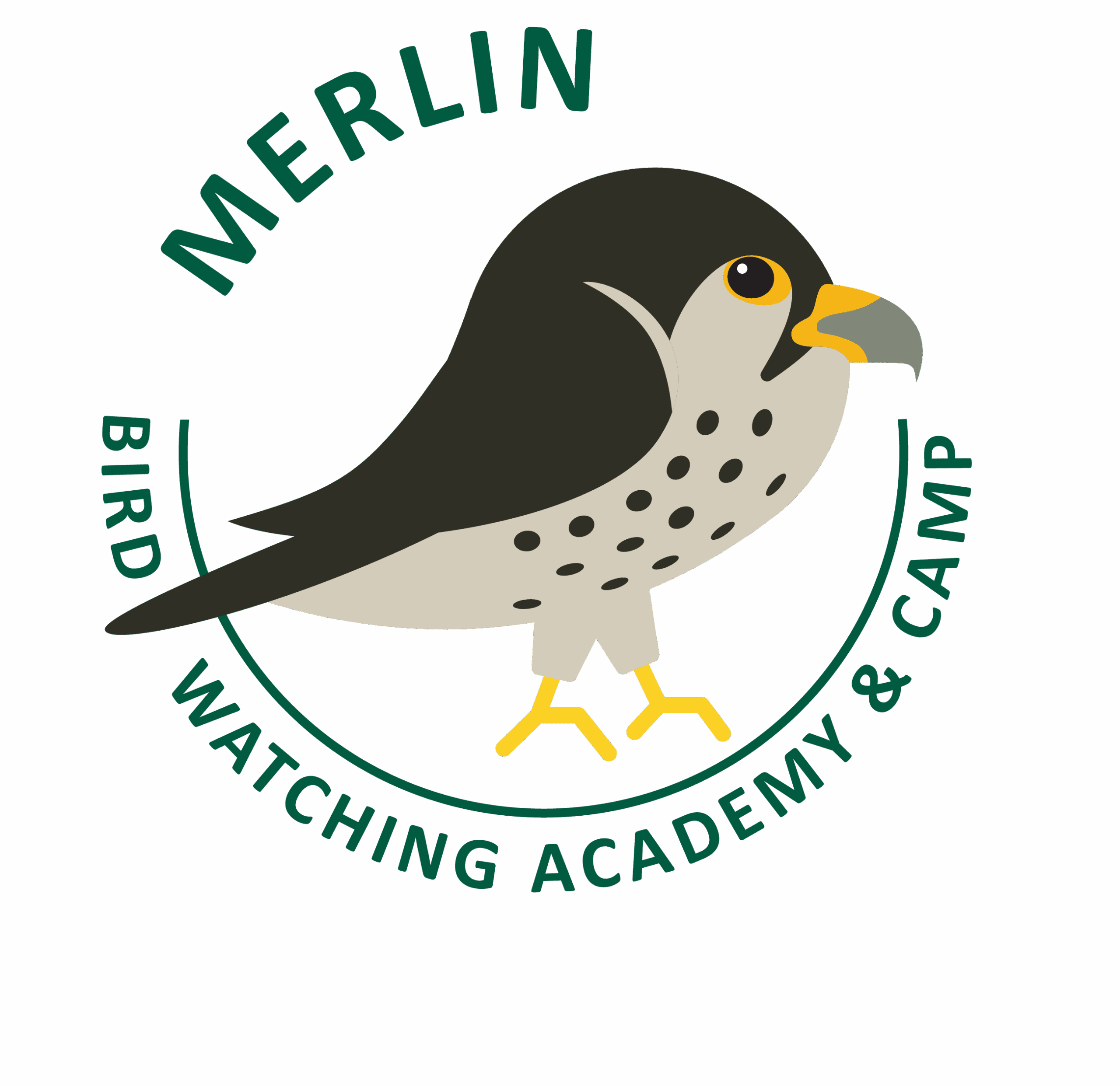 Merlin – My Store