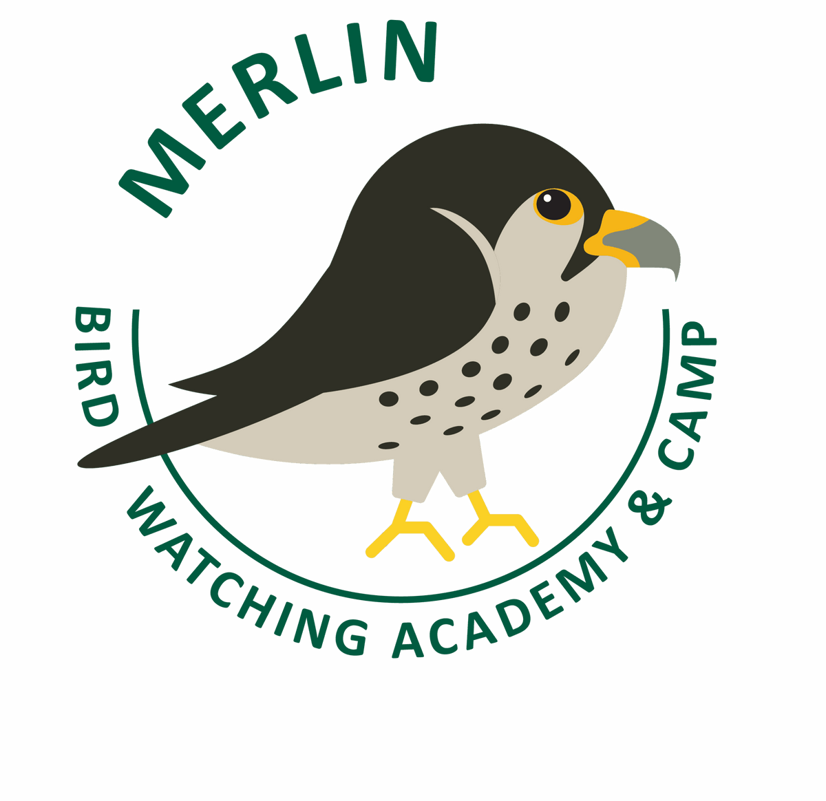 Merlin – My Store