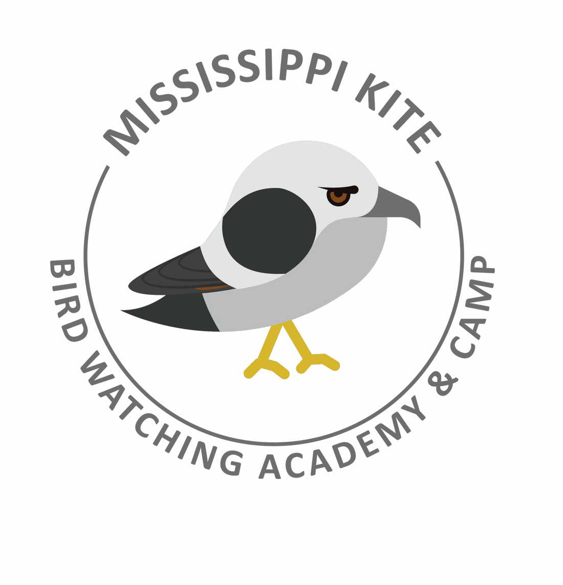 Mississippi Kite