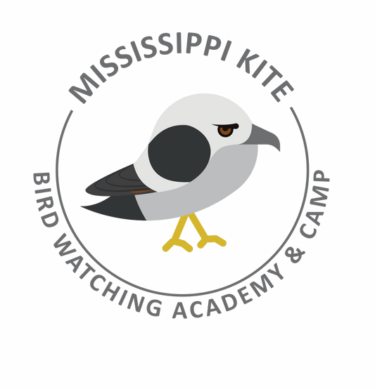 Mississippi Kite