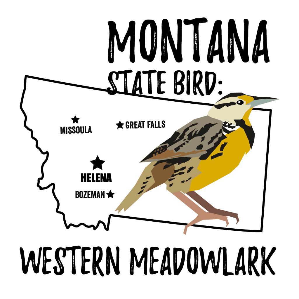 Montana State Bird