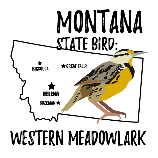 Montana State Bird