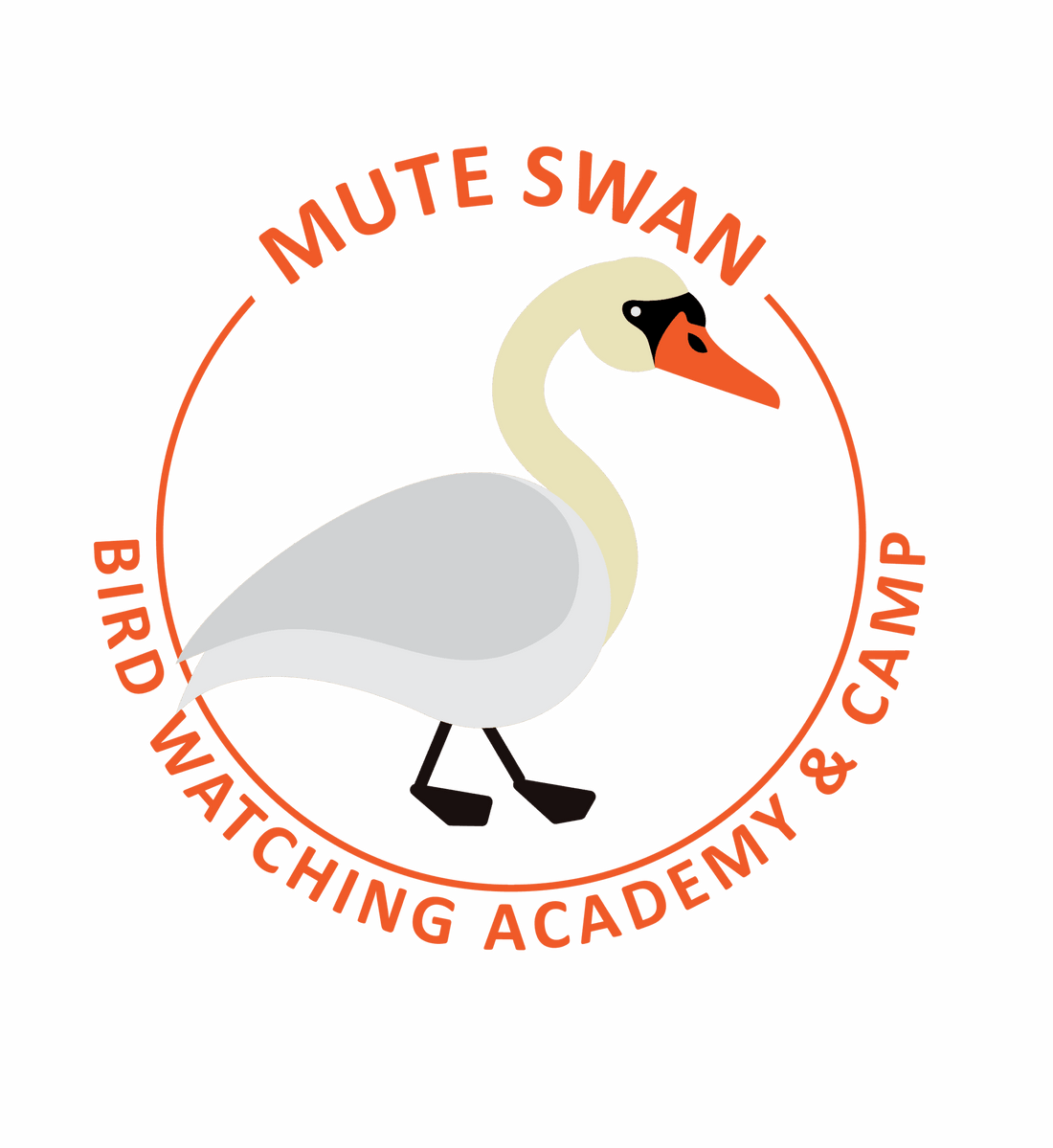 Mute Swan