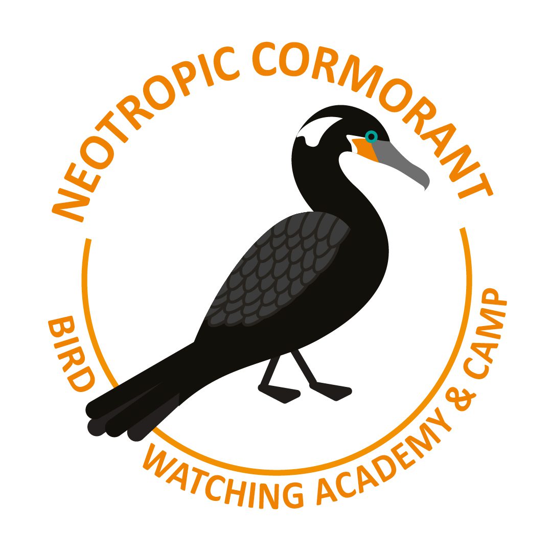 Neotropic Cormorant