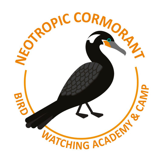 Neotropic Cormorant