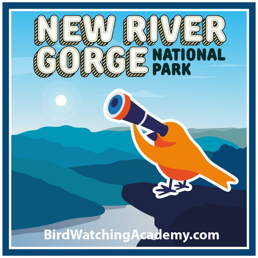 Bird Watching at New River Gorge National Park