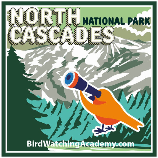 Bird Watching at North Cascades National Park