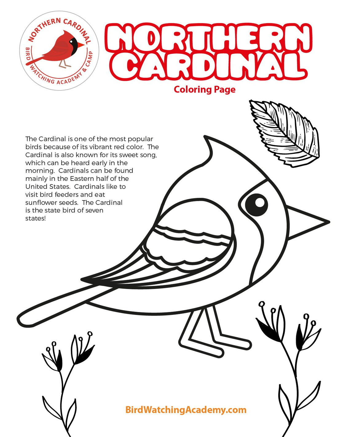 Northern Cardinal Coloring Page