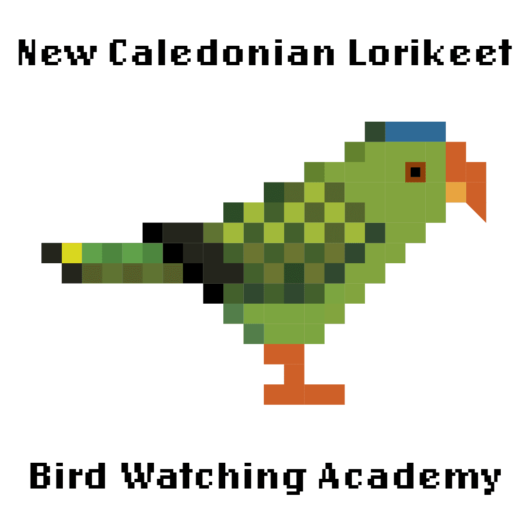 10 Amazing Facts about New Caledonian Lorikeet