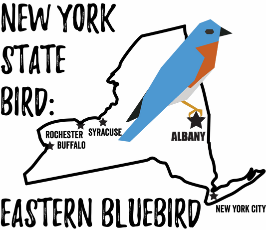 New York State Bird