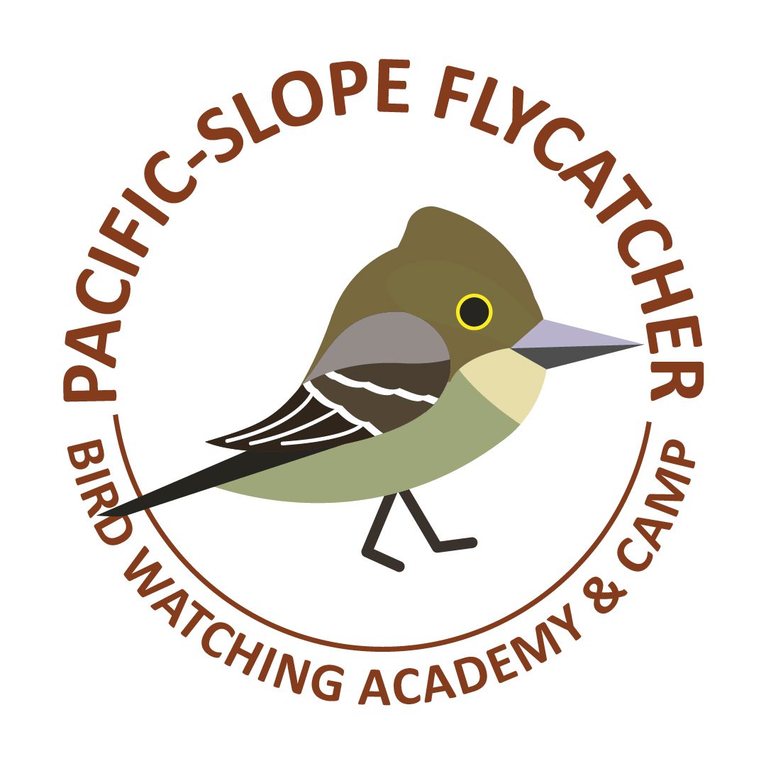 Pacific-slope Flycatcher