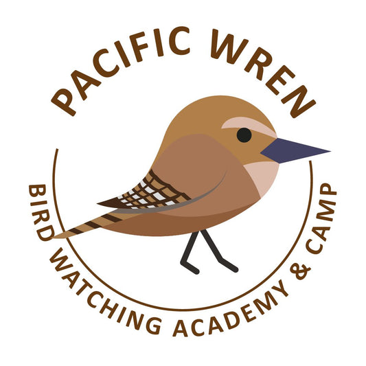 Pacific Wren