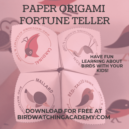 Paper Origami Fortune Teller for Bird Watching