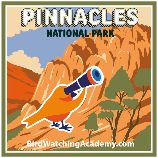 Bird Watching at Pinnacles National Park
