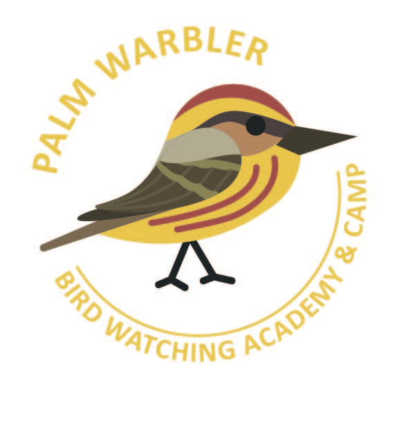 Palm Warbler