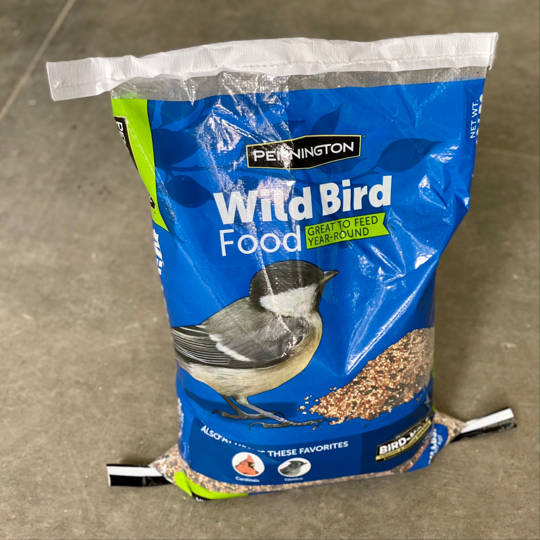 Best Bird Seeds