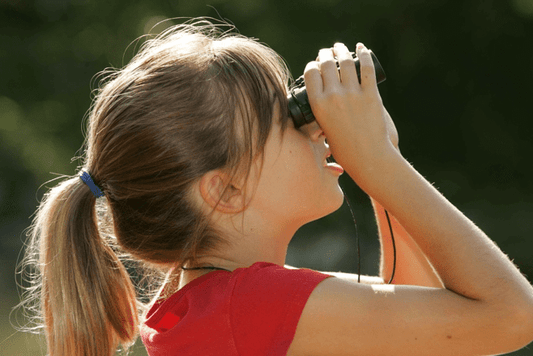Top 5 Outdoor Safety Tips While Bird Watching