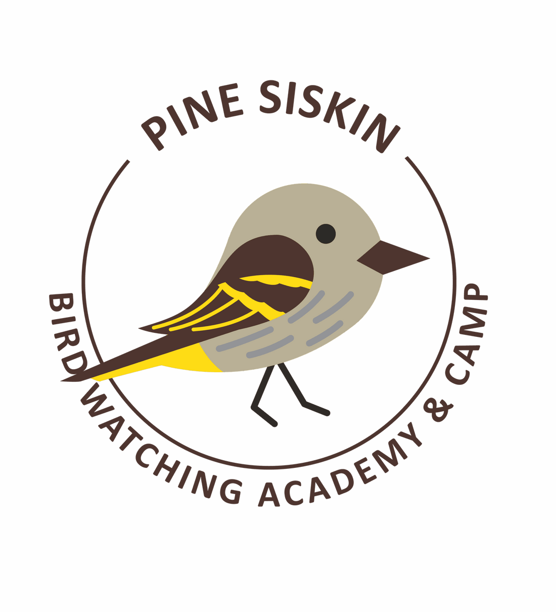 Pine Siskin