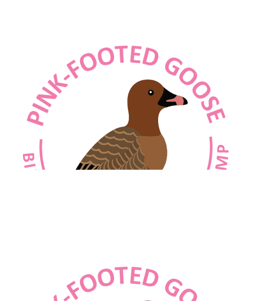 Pink-footed Goose
