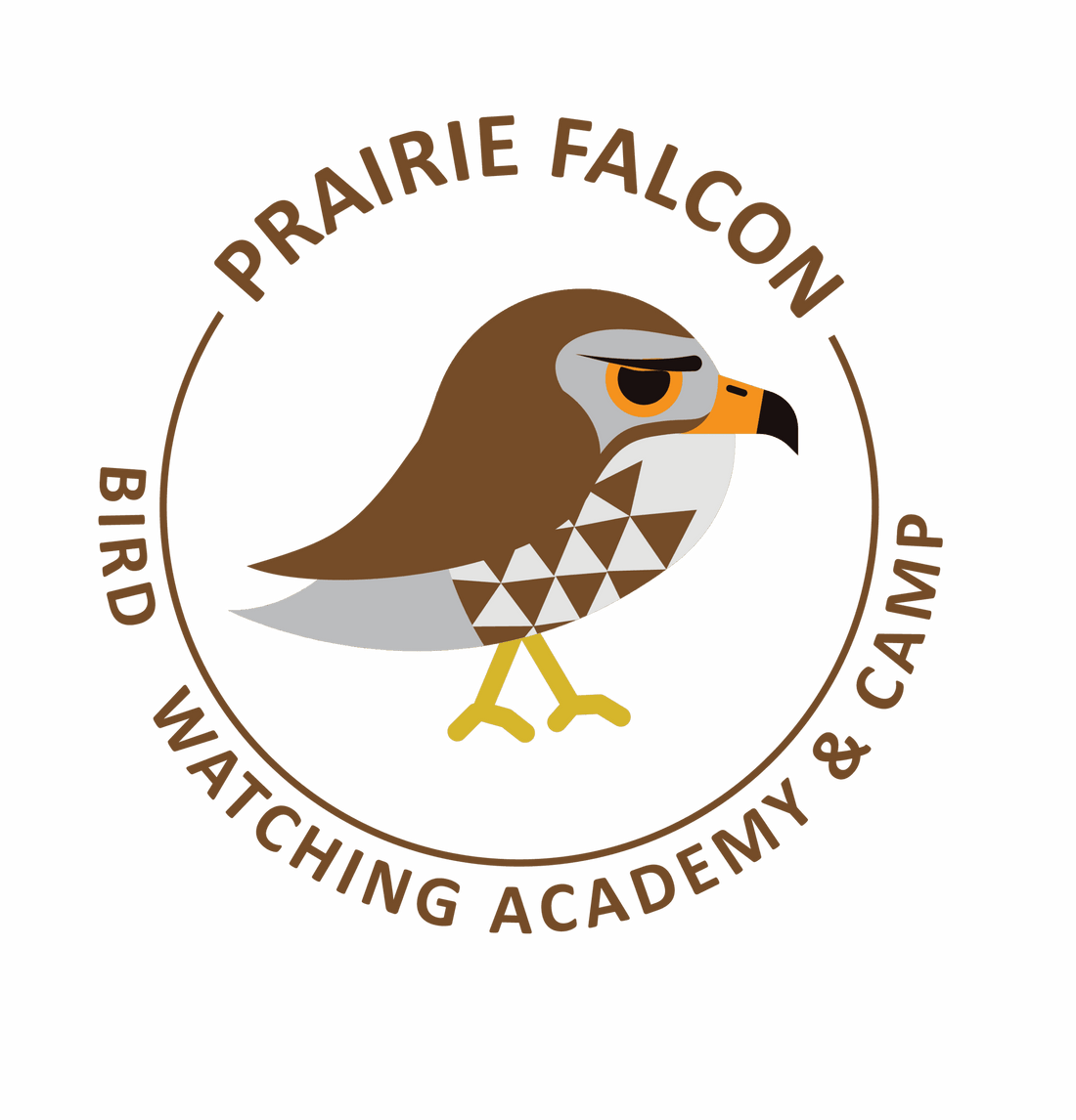 Prairie Falcon