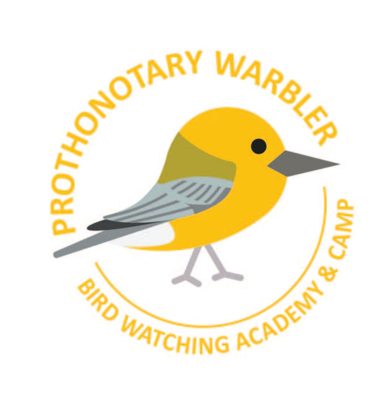 Prothonotary Warbler