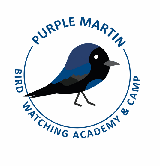 Purple Martin