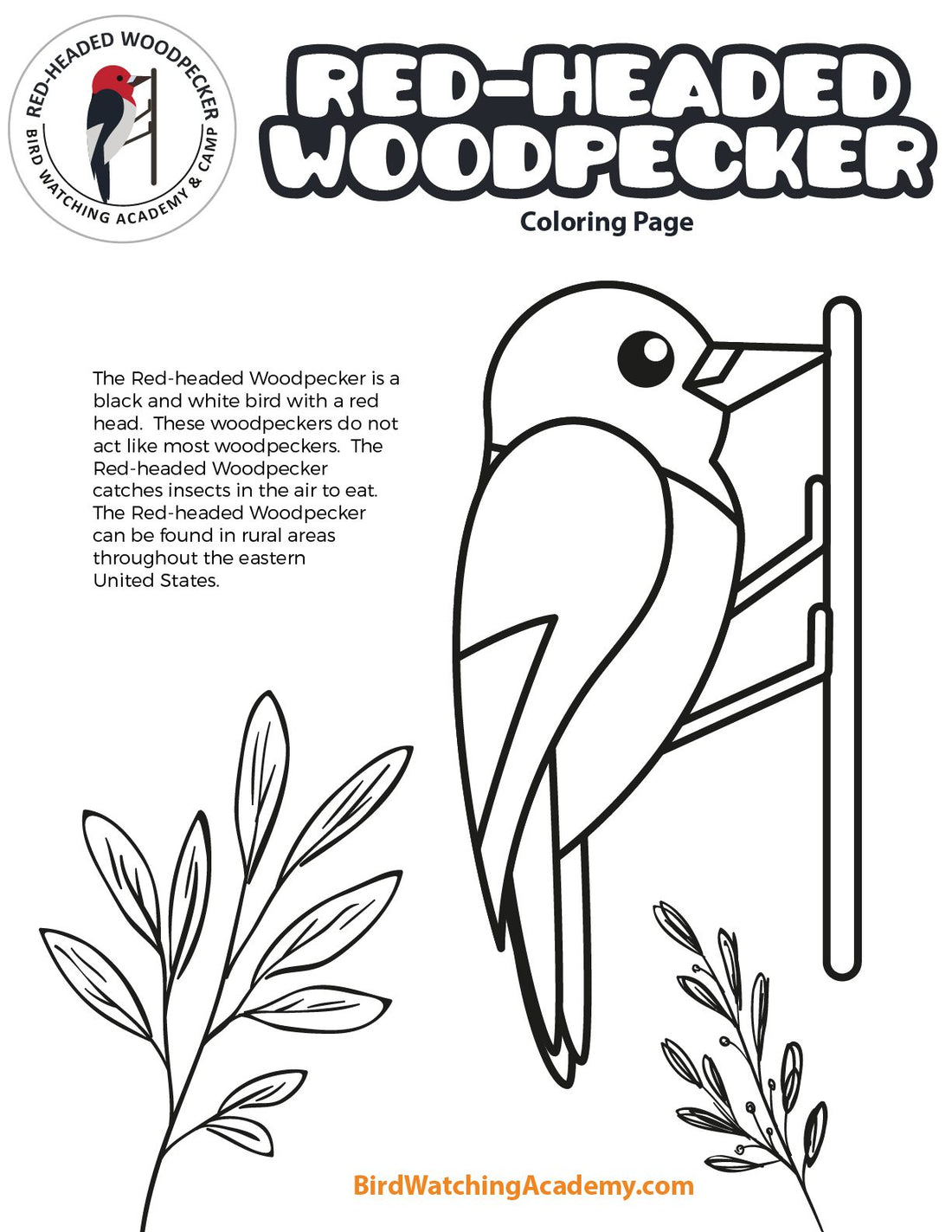 Red-headed Woodpecker Coloring Page
