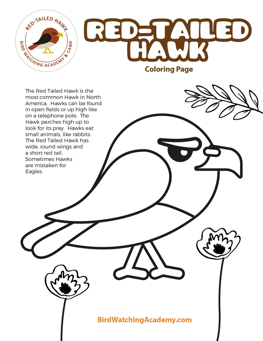 Red-tailed Hawk Coloring Page