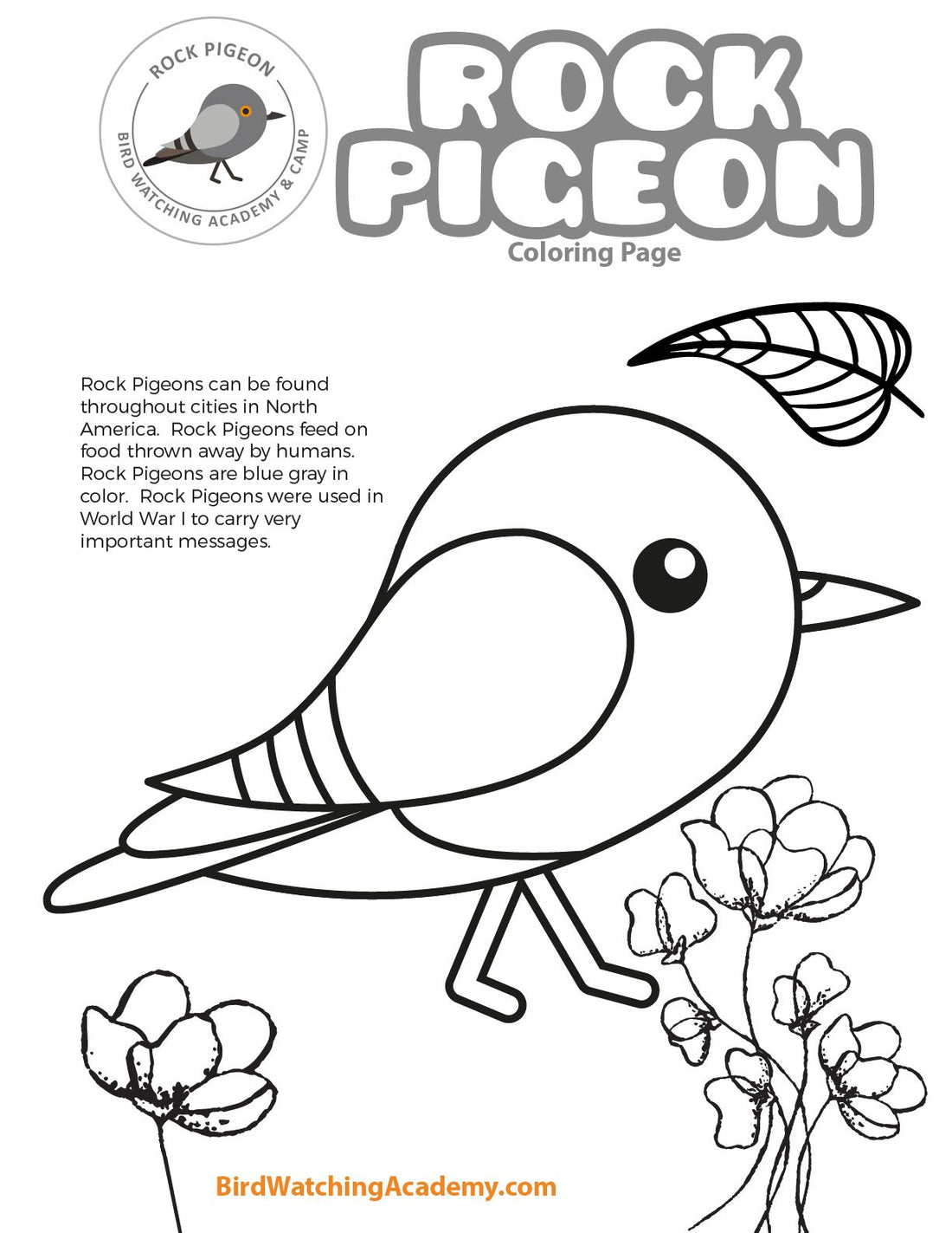 Rock Pigeon Coloring Page