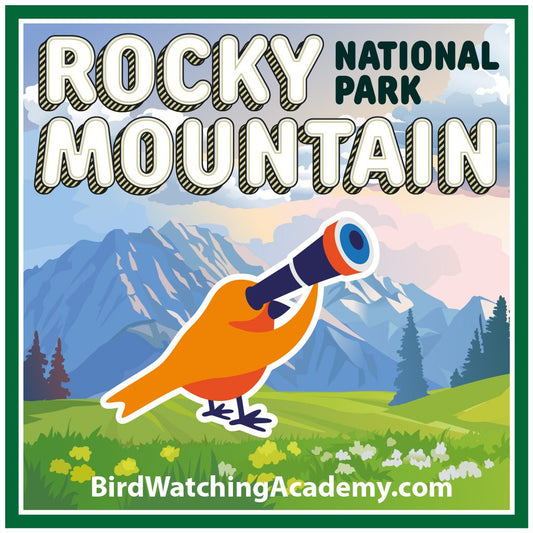 Bird Watching in Rocky Mountain National Park