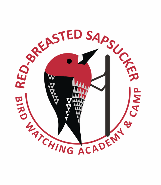 Red-breasted Sapsucker