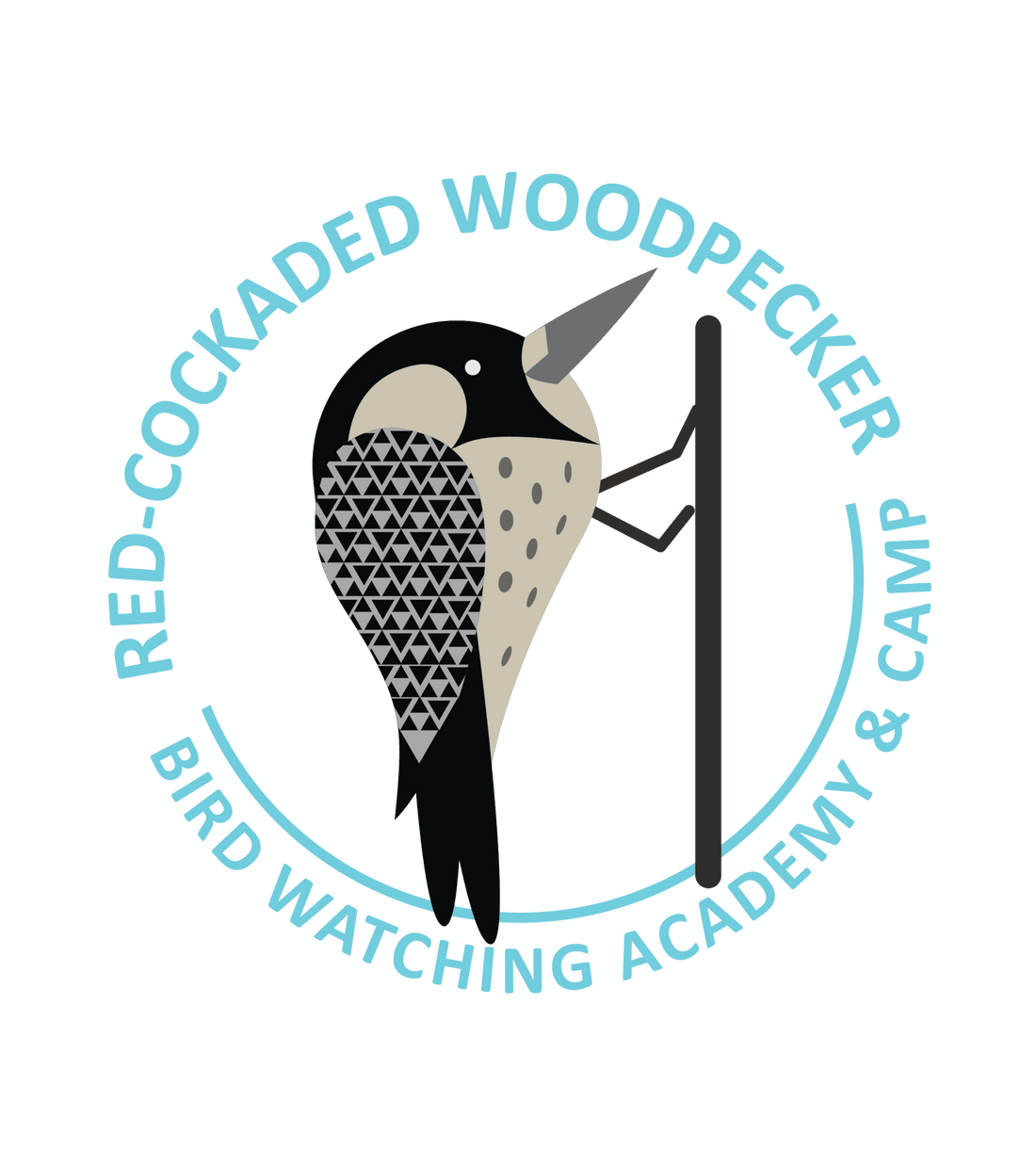 Red-cockaded Woodpecker