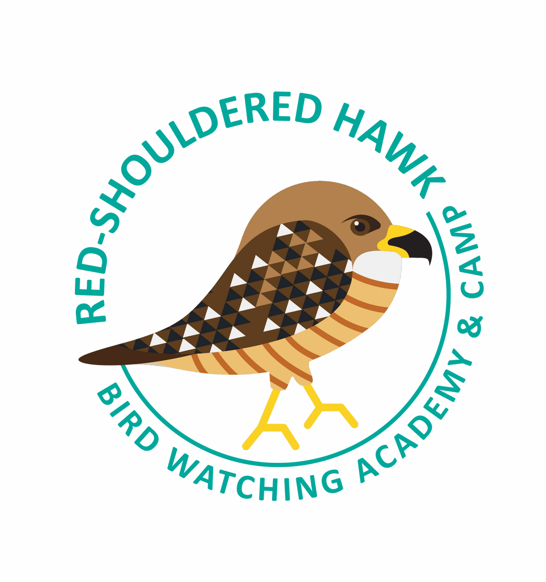 Red-shouldered Hawk