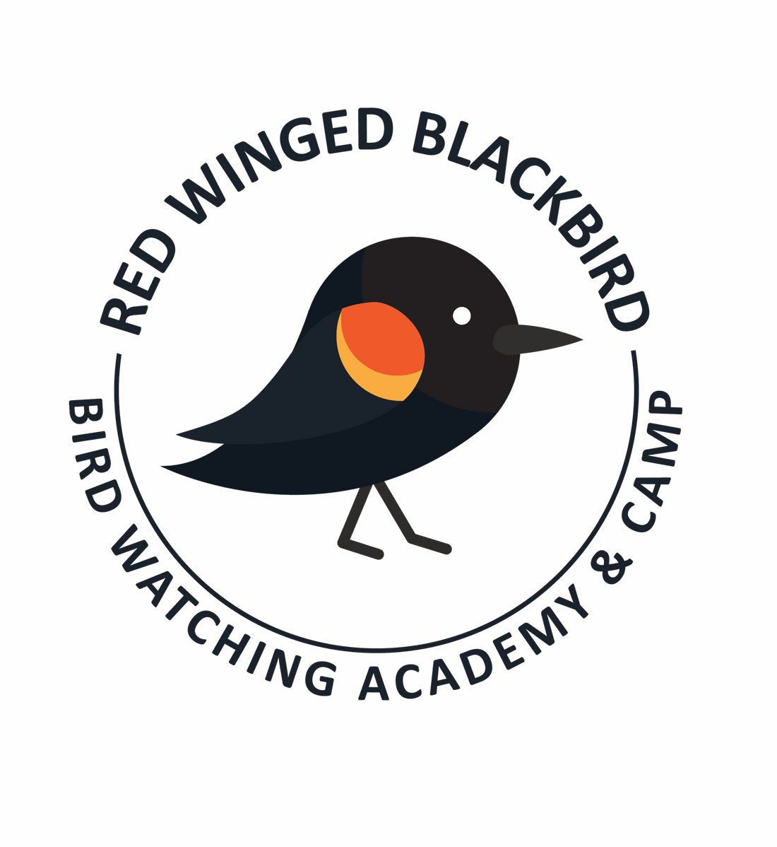 Red Winged Blackbird