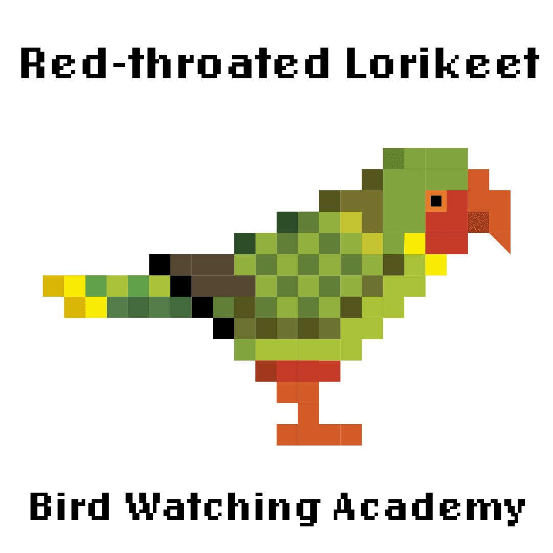 10 Amazing Facts about Red-throated Lorikeets