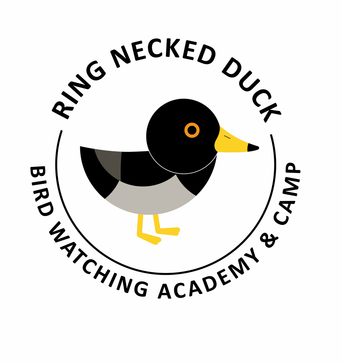 Ring-necked Duck