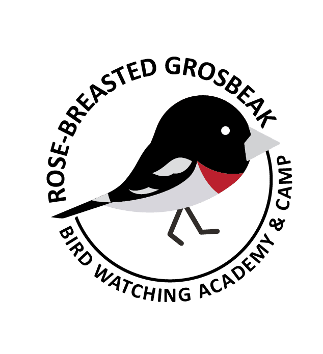 Rose-breasted Grosbeak