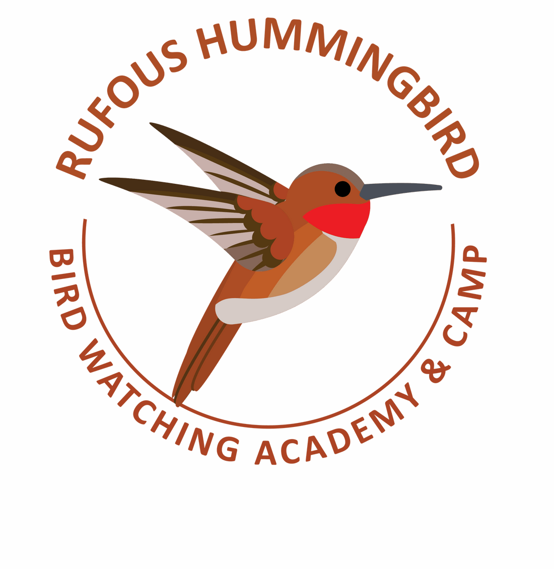 Rufous Hummingbird