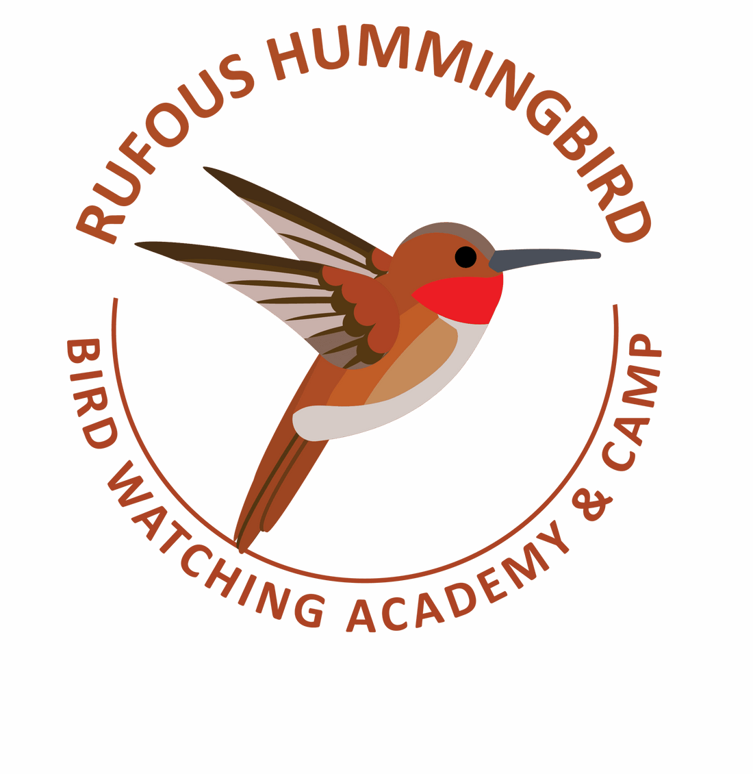 What a Hummingbirds Nest Looks Like