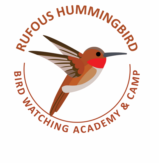 What a Hummingbirds Nest Looks Like