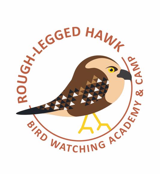 Rough-legged Hawk