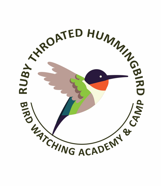 Do Hummingbirds Eat Bugs?