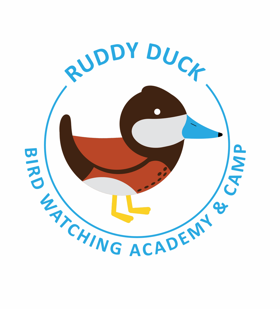 Ruddy Duck