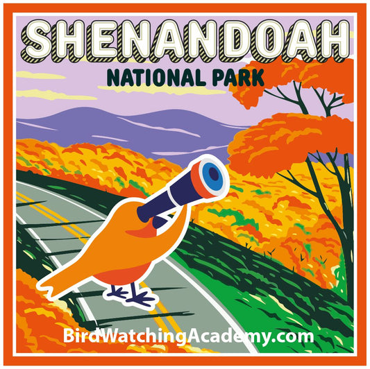 Bird Watching at Shenandoah National Park