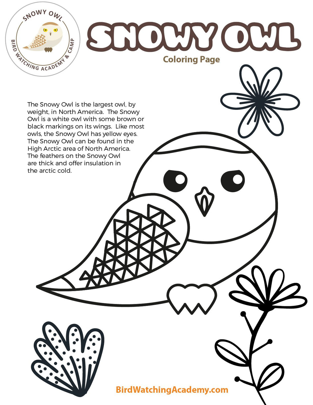 Snowy Owl Coloring Page