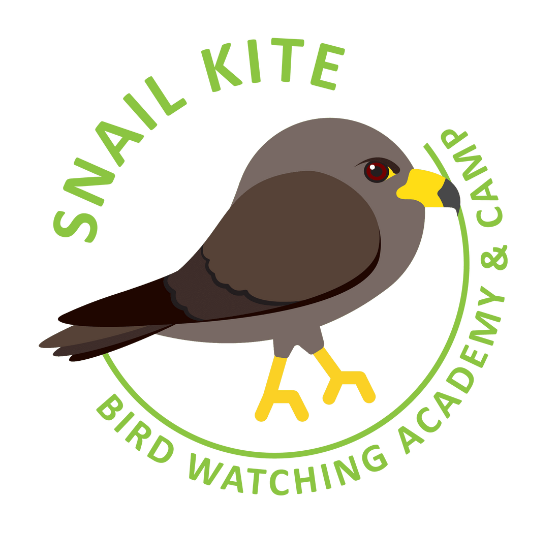 Snail Kite