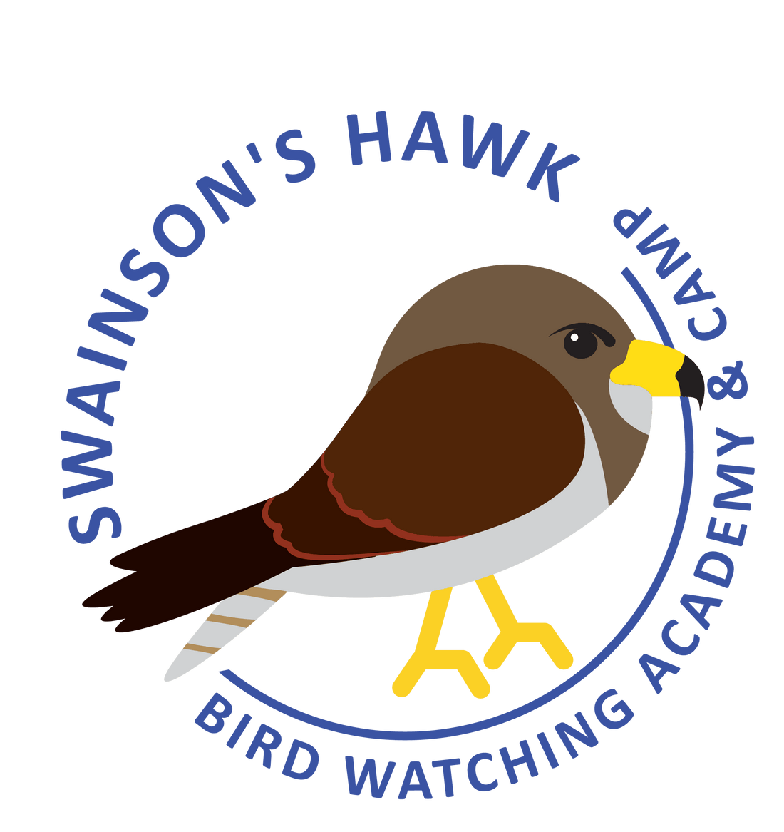 Swainson's Hawk